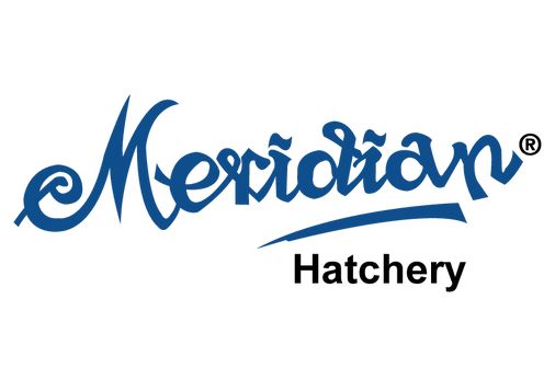 Meridian Hatchery Business Concerns